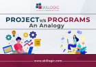 Differences between Projects and Programs