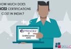differences between project and programme How Much Do PRINCE2 Certifications Cost In India?