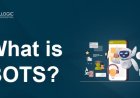 What does it mean by BOT?