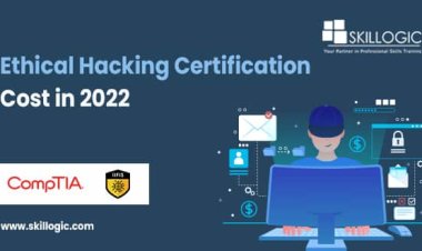 How Much Does It Cost to Learn Ethical Hacking in 2022?