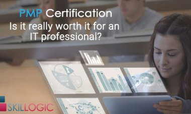 PMP Certification – Is It Really Worth For An IT Professional?