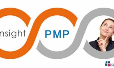 A Better Insight About PMP Certification And How To Apply