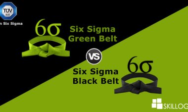 Six Sigma Green Belt vs Black Belt – What you should be knowing?