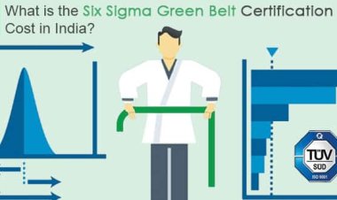 What Is The Cost Of Six Sigma Certifications In India?