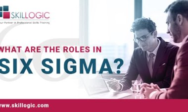 What are the Roles in Six Sigma?