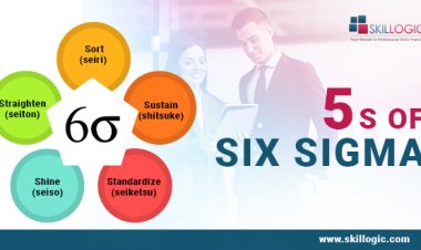 What includes in the 5 S of Six Sigma?