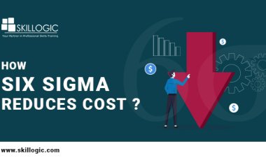 How Six Sigma Helps Reduce Cost?