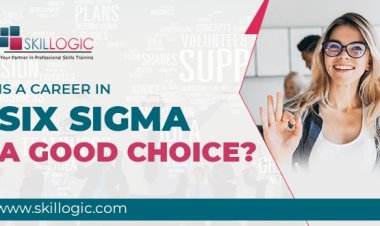 Is a career in Six Sigma a good choice?