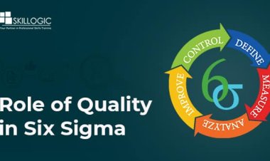 Role of Quality in Six Sigma