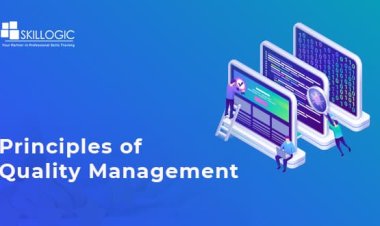 What are the Principles of Quality Management?