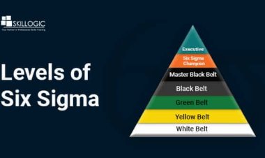 What are the Six Sigma Levels and Why Do We Need to be Certified?