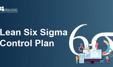 What is the Lean Six Sigma Control Plan?