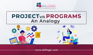 Differences between Projects and Programs