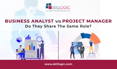 Business Analyst Vs Project Manager – Do They Share The Same Role?