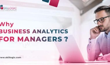 Why Business Analytics for Managers?