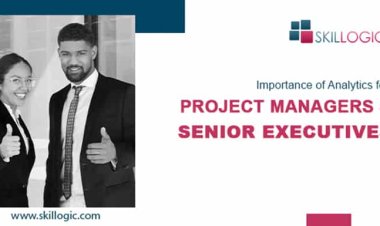 Importance of Analytics for Project managers and Senior Executives