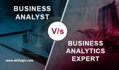 Business Analyst Vs Business Analytics Expert