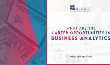 What are the Career Opportunities in Business Analytics?