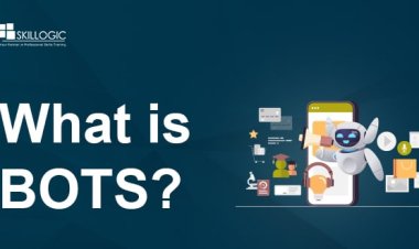 What does it mean by BOT?