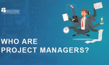Who are Project Managers? How much do they Earn?