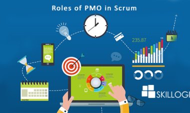 differences between project and programme What are the Roles of the Project Management Office in Scrum?