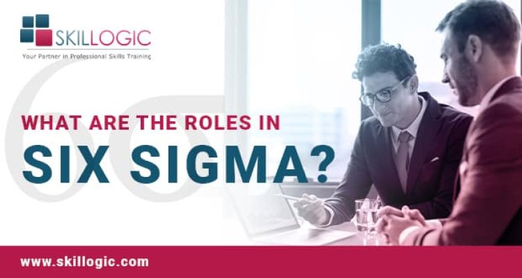 What are the Roles in Six Sigma?