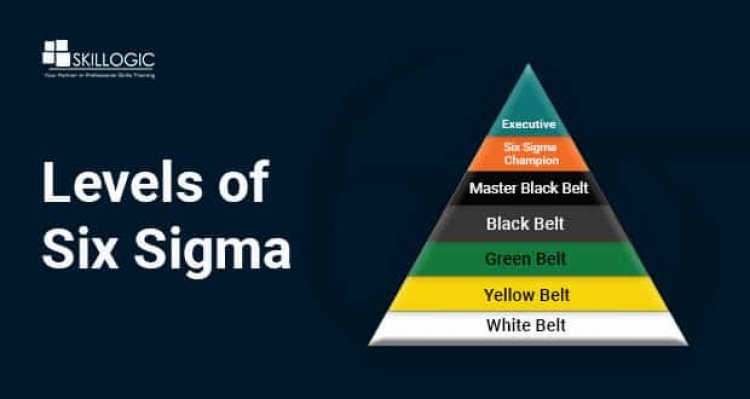 What are the Six Sigma Levels and Why Do We Need to be Certified