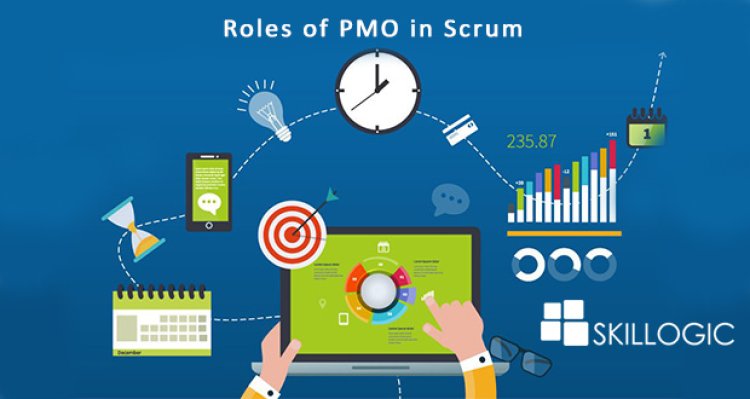 What are the Roles of the Project Management Office in Scrum?