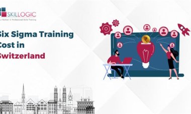 How Much is the Six Sigma Training Cost in Switzerland?