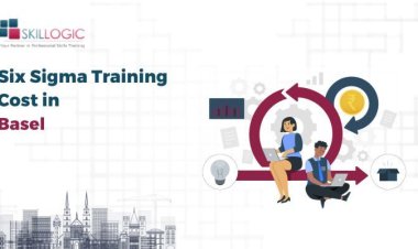 How Much is the Six Sigma Training Cost in Basel?