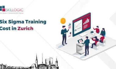 How Much is the Six Sigma Training Cost in Zurich?