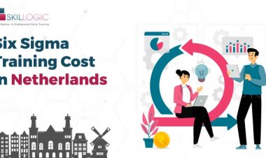 How Much is the Six Sigma Training Cost in the Netherlands?