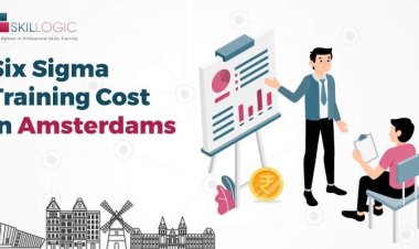 How Much is the Six Sigma Training Cost in Amsterdam?