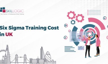 How Much is the Six Sigma Training Cost in UK?