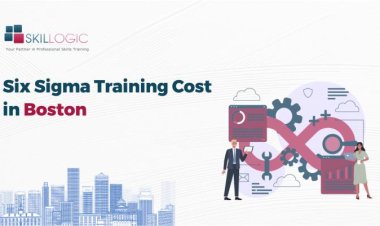 How Much is the Six Sigma Training Cost in Boston?