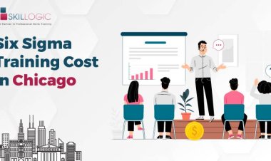 How Much is the Six Sigma Training Cost in Chicago?