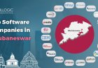 What are the Top Software Companies in Bhubaneswar?