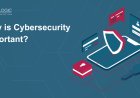 Why is Cybersecurity Important?