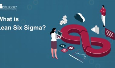 What is Lean Six Sigma