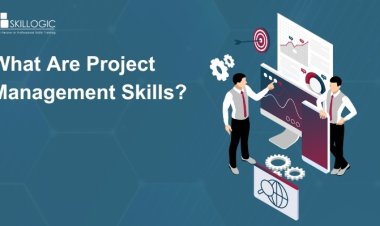 What Are Project Management Skills