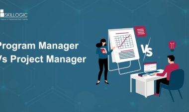 The Key Differences Between Program Manager and Project Manager