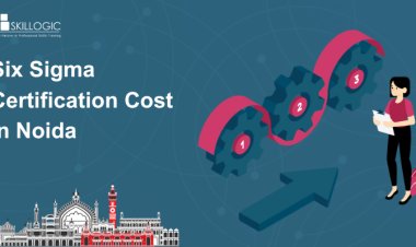 How Much is the Six Sigma Certification Cost in Noida?