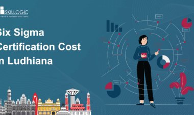 How Much is the Six Sigma Certification Cost in Ludhiana?
