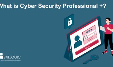 What is Cyber Security Professional Plus?