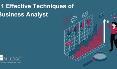 11 Effective Techniques of Business Analyst
