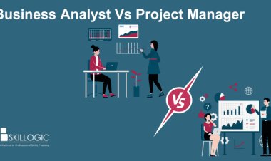 Business Analyst Vs Project Manager