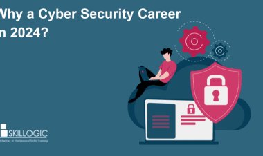 Why a cyber Security Career in 2024