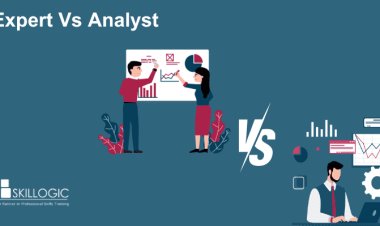 Expert vs Analyst: Understanding the Key Differences