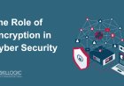 The Role of Encryption in Cyber Security