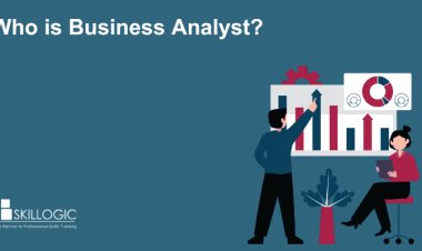 Who is a Business Analyst?